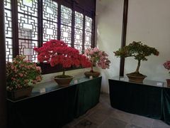 -上海醉白池公园