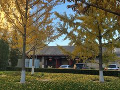 -厉家菜(金宝街店)