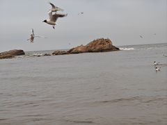 -老虎石海上公园