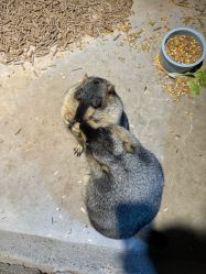 -酷嗒动物文化乐园(cutezoo西溪乐天城店)