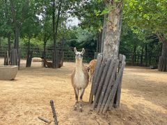 -济南野生动物世界