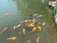 -白马涧龙池景区