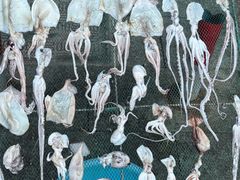 -中国舟山国际水产城