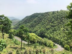 -东明山森林公园