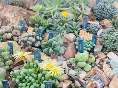 -国家植物园南园