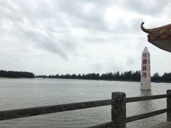 -东郊椰林