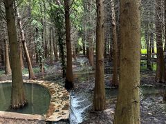 -捞渔河湿地公园