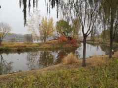 -东郊湿地公园