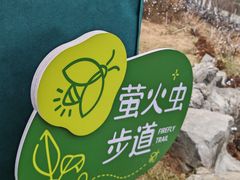 -佛慧山