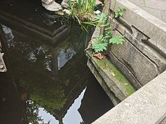 -中国茶叶博物馆(双峰馆区)