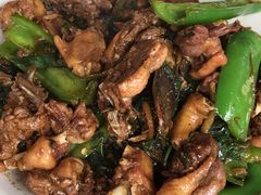 紫苏焖鸭-美莓农场