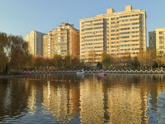 -雁滩公园