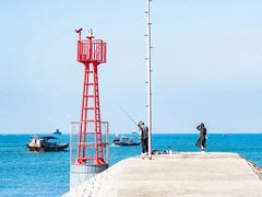 -广东惠东海龟国家级自然保护区