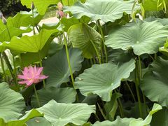 -天毓山庄·餐厅