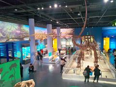 -国家自然博物馆