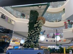 -野人先生Gelato(上海长宁龙之梦店)