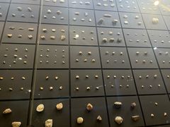 -北京周口店北京人遗址博物馆