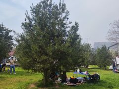 -洨河生态公园