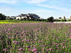 -浙江大学(紫金港校区)