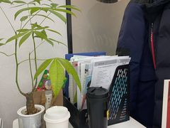 -牙博士口腔品牌连锁(杨浦店)