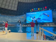 -泉城欧乐堡海洋极地世界