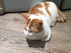 -小时光咖啡馆(开森度假森林店)