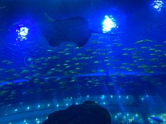 -成都浩海立方海洋公园