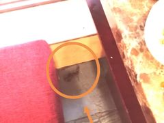 -朱氏胖子烂火锅(洪崖洞店)