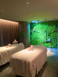 -VELEE·SPA高定疗愈会所