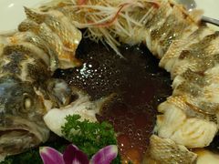 -博雅渔港·融合菜(维也纳国际大酒店)
