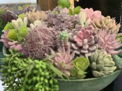 -春风·有糖(崇宁路店)