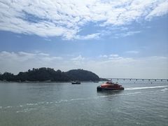 -港珠澳大桥(珠海段)