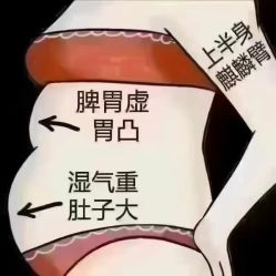 -丽减美瘦吧·减肥瘦身