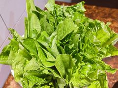 油麦菜-胡须佬鸡煲四季火锅(海雅缤纷城店)