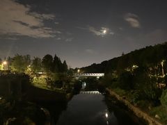 -羊山湖公园