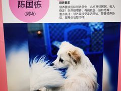 -北京清河万象汇