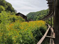 -三块石国家森林公园