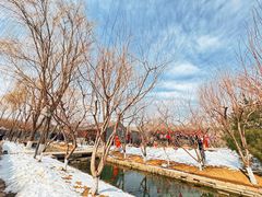 -春风习习