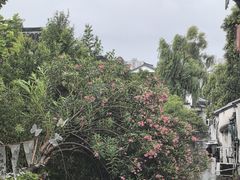 -狐狸家·酸奶酪专门店(平江路店)