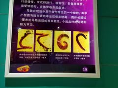 -上海昆虫博物馆