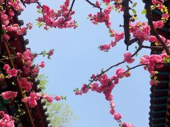 -碑林公园