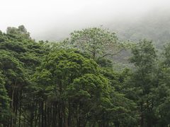 -广州市石门国家森林公园