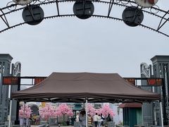 -武汉知音号