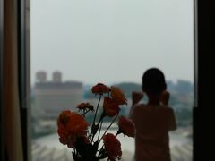 -济南喜来登酒店