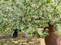 -元大都城垣遗址公园