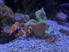 -成都浩海立方海洋公园