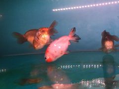 -酷麦私人订制KTV