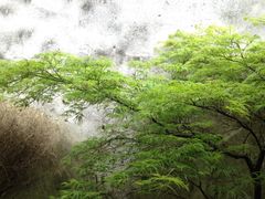 -西塘古镇-倪宅