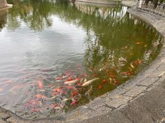-北京世界公园
