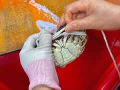 -阳澄湖大闸蟹·琼灵阁牌品牌连锁(吴中总店)